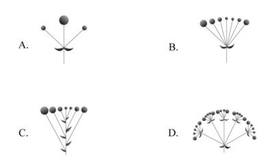 2020年國(guó)家公務(wù)員考試行測(cè)真題及答案（副省級(jí)）